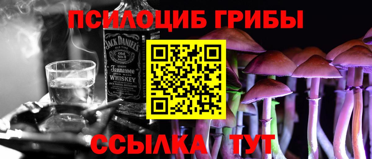 Псилоцибиновые грибы Psilocybine cubensis Саранск